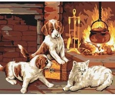 Twoje Hobby Paveikslas pagal skaičius - Prie židinio 40x50