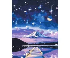 Twoje Hobby Paveikslas pagal skaičius - Žvaigždėta naktis 40x50cm