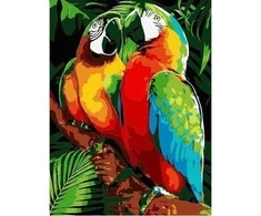 Twoje Hobby Paveikslas skaičiais - 30x40cm Papūgos