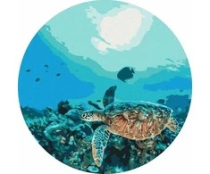 Twoje Hobby Tapyba skaičiais apvali - Vėžlys rife.. 40