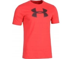 Sportiniai marškinėliai vyrams Under Armour Big Logo SS Tee M 1329583 600, 61376
