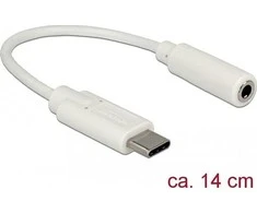 USB adapteris Delock USB-C – 3,5 mm baltas lizdas (65913)