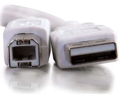 USB C2G kabelis USB-A – USB-B 3 m baltas (81562)