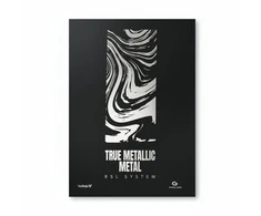 Vallejo Vallejo: Knyga – Tikras metalinis metalas – BSL sistema