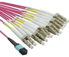 Value VALUE MPO Fanout Kabelis 50/125m OM4, MPO/12x LC, violetinė, 2 m