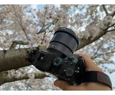 Objektyvas Venus Optics Laowa 10mm f/2.8 Zero-D FF (Auto Focus) Nikon Z