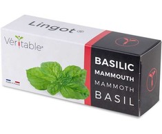 Veritable Kasetė nasienny Lingot Bazylia mamucia