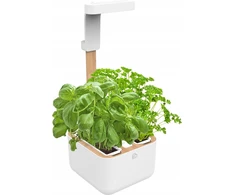 Veritable Véritable Botaneo – automatinė vazonėlis + 2 žolelių įdėklai