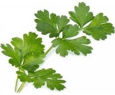 Veritable Itališkos Lingot petražolės - BIO