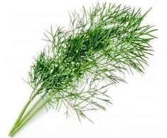 Veritable Véritable Lingot Kopr BIO*
