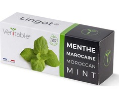 Veritable Véritable Lingot Marokańska mėtų spalvos - BIO*