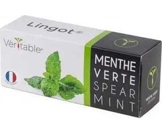 Veritable Véritable Lingot Mięta klasztorna