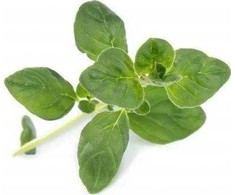 Veritable Véritable Lingot Oregano BIO*