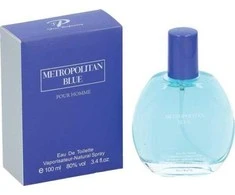Fine Perfumery Metropolitan Mėlyna EDT tualetinis vanduo vyrams, 100 ml