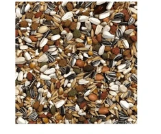 Versele-Laga Prestige 2.5kg Loro Parque African Parrot Mix /4 (422202)