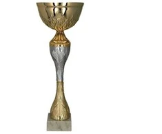 Victoria Sport Auksinis ir sidabrinis metalinis puodelis