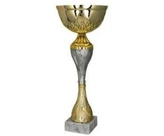Victoria Sport Auksinis ir sidabrinis metalinis puodelis