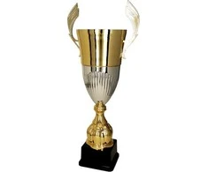 Victoria Sport Auksinis ir sidabrinis metalinis puodelis DUNA