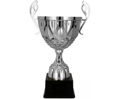 Victoria Sport Cup metalinis sidabrinis MUFAS