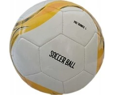 Victoria Sport Futbolo profesionalų treneris R.5