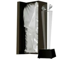 Victoria Sport Glass Trophy su dėklu – širdelė