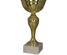 Victoria Sport Gold metalinis puodelis