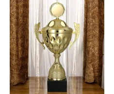 Victoria Sport Gold metalinis puodelis