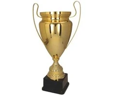 Victoria Sport Gold metalinis puodelis