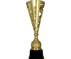 Victoria Sport Gold metalinis puodelis