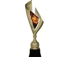 Victoria Sport Gold plastikinis puodelis - TINKLINIS