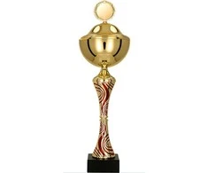 Victoria Sport Metal Cup su viršeliu