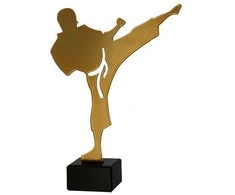 Victoria Sport Metal trofėjus su marmuriniu pagrindu - Karate - karateka