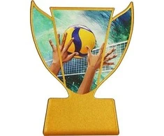 Victoria Sport Metal trofėjus - Tinklinis