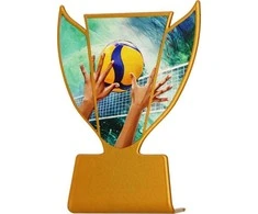 Victoria Sport Metal trofėjus - Tinklinis