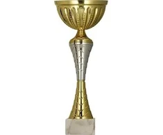 Victoria Sport Metalinė taurė, auksas ir sidabras
