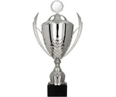 Victoria Sport Metal Cup su viršeliu