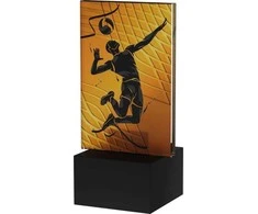 Victoria Sport Mini-Line Amber Trophy – TINKLINIS