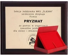 Victoria Sport Plastikiniai pagrindai su išgraviruotu laminatu + dėklas 305x245 mm
