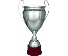 Victoria Sport Sidabrinis metalinis puodelis T-S