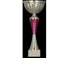 Victoria Sport Sidabrinis ir violetinis metalinis puodelis