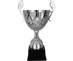 Victoria Sport Cup metalinis sidabrinis MUFAS