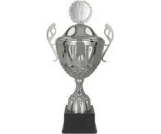 Victoria Sport Sidabrinis Metal Cup su dangteliu MUFAS