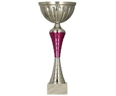 Victoria Sport Sidabrinis ir violetinis metalinis puodelis