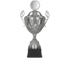 Victoria Sport Sidabrinis Metal Cup su dangteliu MUFAS