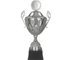Victoria Sport Sidabrinis Metal Cup su dangteliu MUFAS