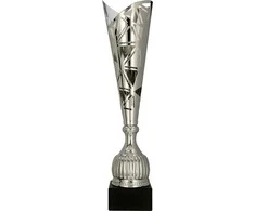 Victoria Sport Sidabrinis metalinis puodelis