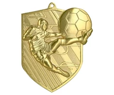 Victoria Sport Viktorijos sporto aukso spalvos medalis – futbolas