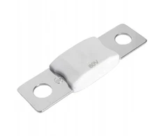 Victron Energy MEGA saugikliai 60A/80V (5vnt)