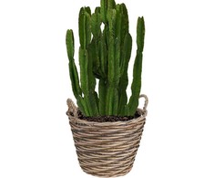 Vilde Gėlių vazonas 22 cm iš vytelių - natūralus ir praktiškas