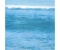 Vilde Dušo užuolaida 180 x 180 cm 12 vnt.